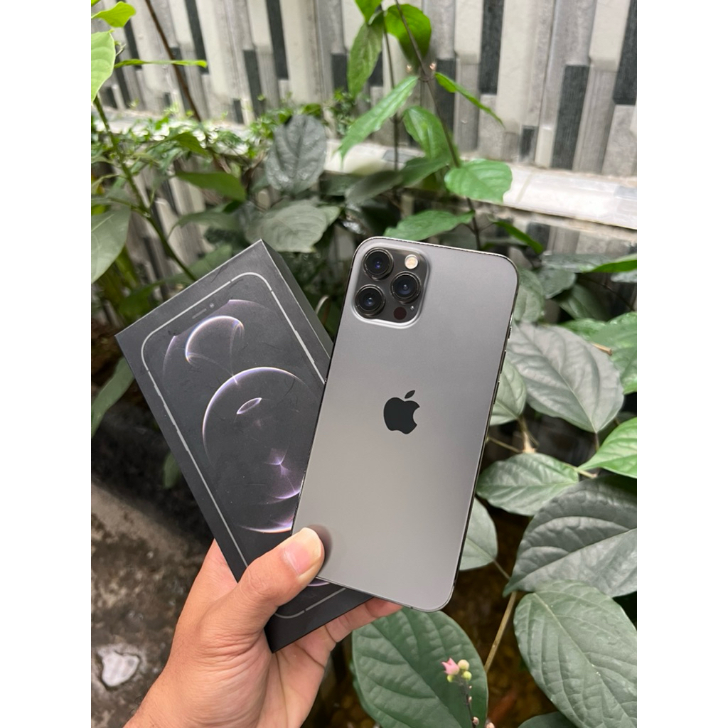 apple phone ip 12 Pro max 128gb ibox resmi