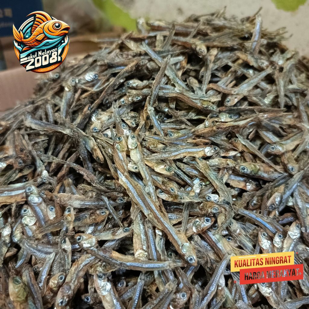 

Teri tawar hitam | ikan teri tawar