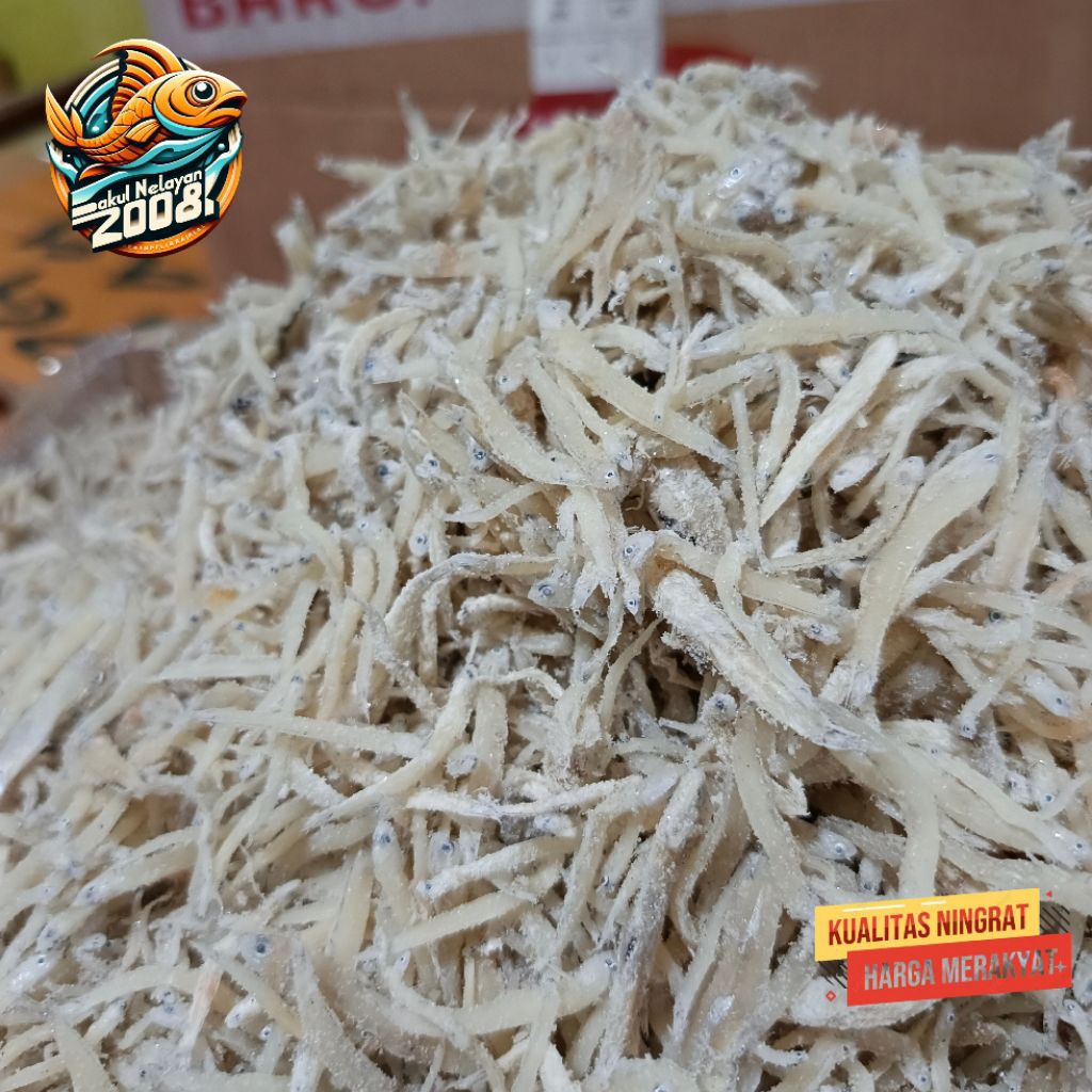 

Teri medan | Ikan teri medan | ASIN