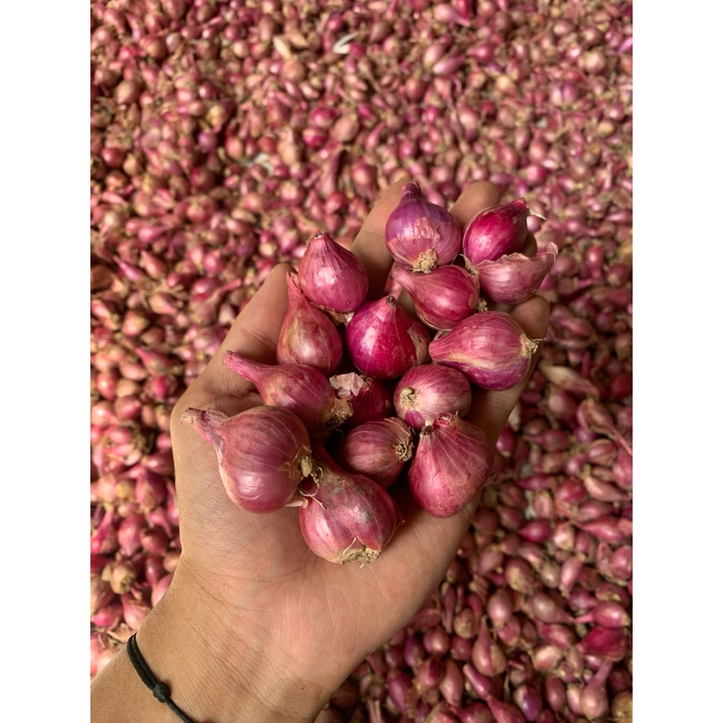 

(Super 1Kg) Bawang Merah Super Murah Berkualitas Sedap Kering