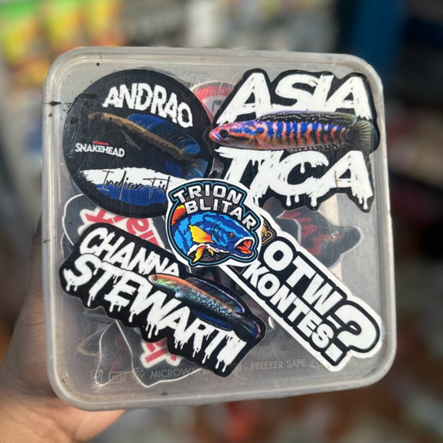 Stiker Box Channa Lengkap Berkualitas