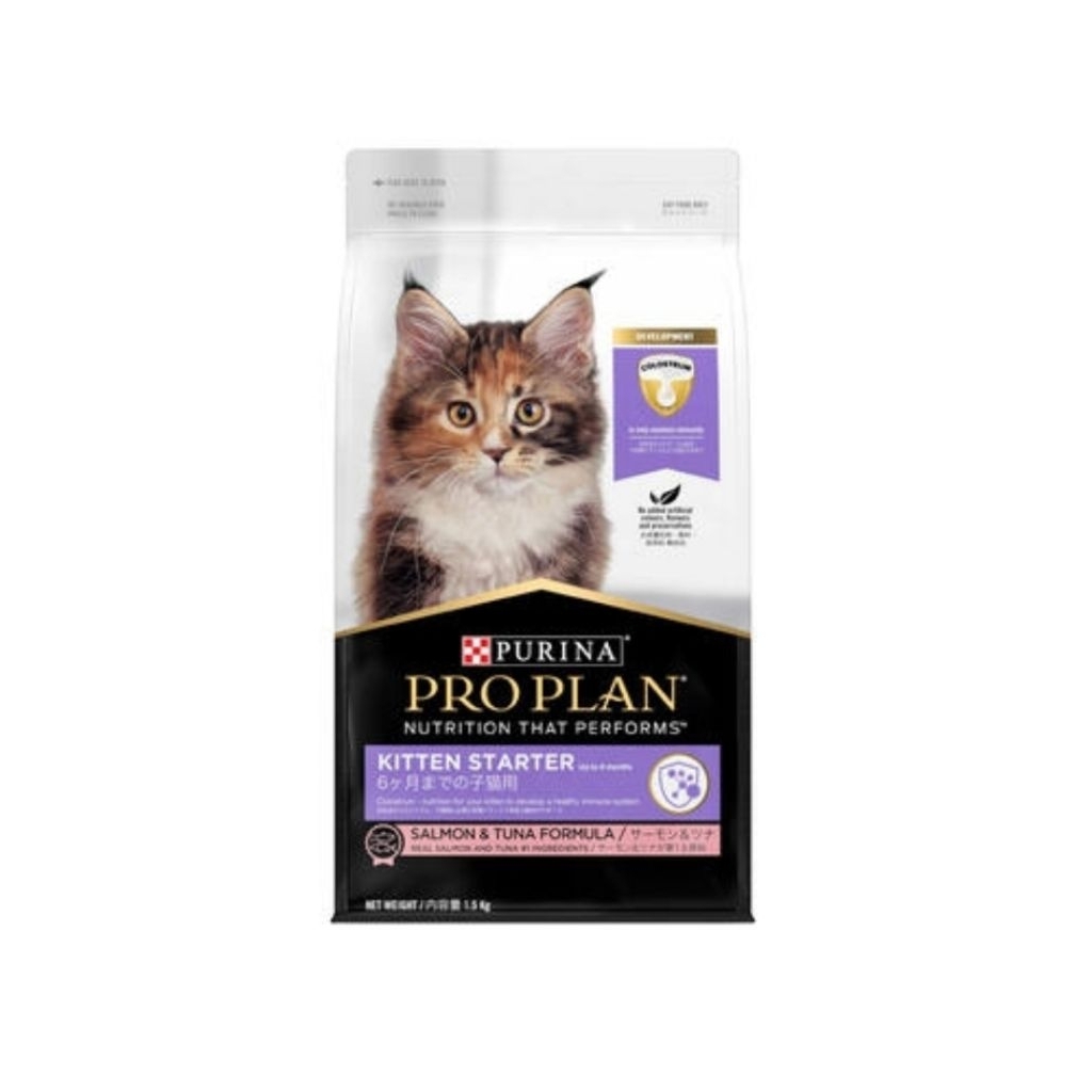 proplan kitten starter 8kg