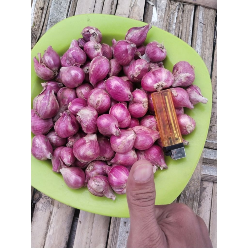 

bawang merah