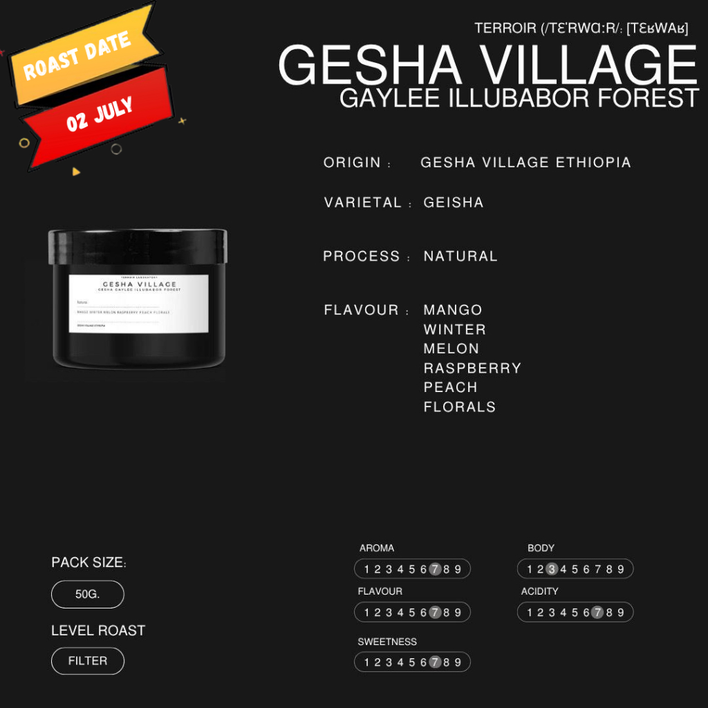 

GESHA VILLAGE (GAYLEE ILLUBABOR FOREST)