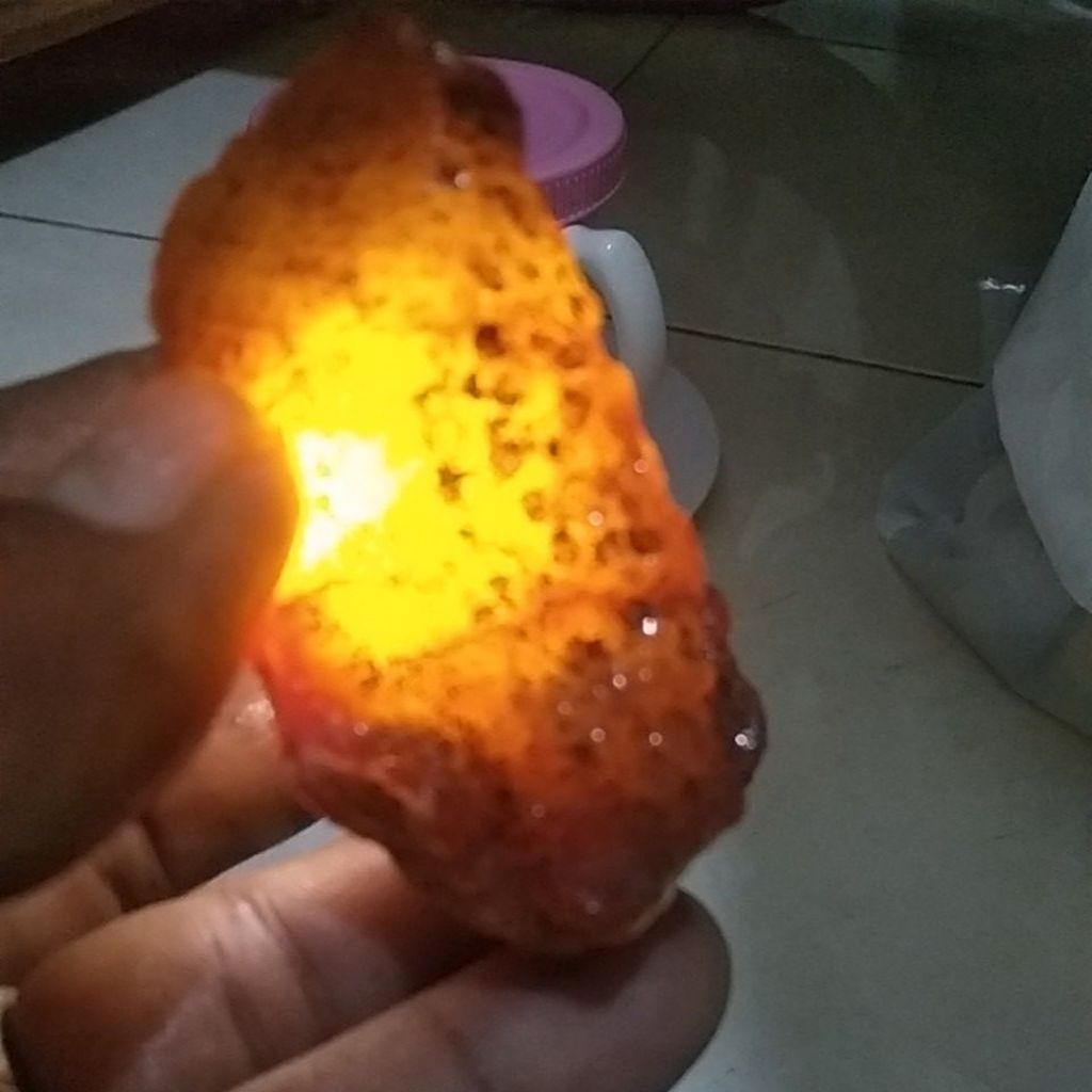 BATU RAFLESIA BENGKULU