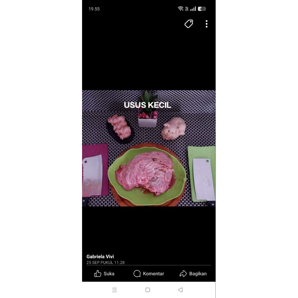 

usus kecil/usus panjang