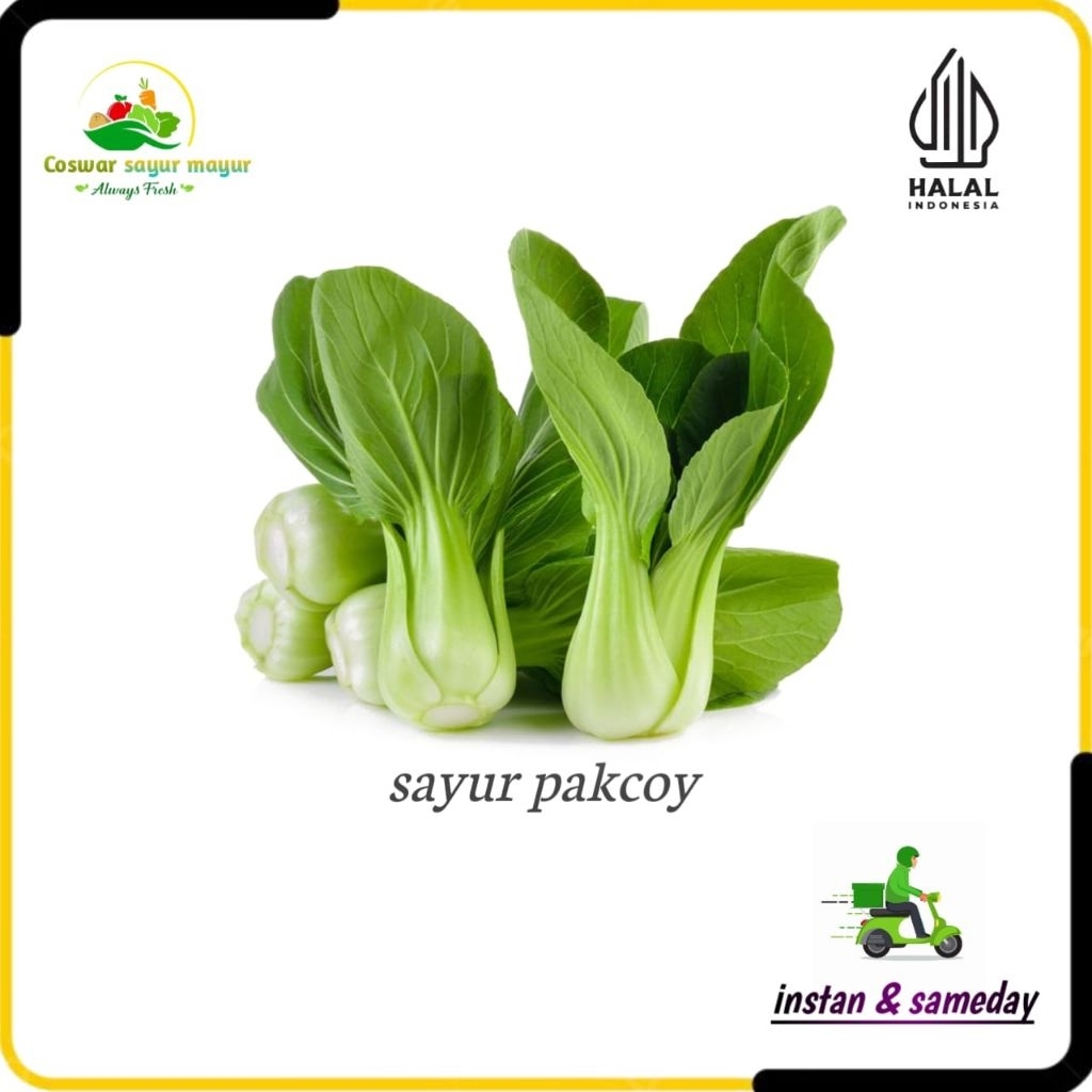 

sayur pakcoy ( 500 gram ) sayuran fresh praktis masak harian/sayur lalapan/pakcoy hijau