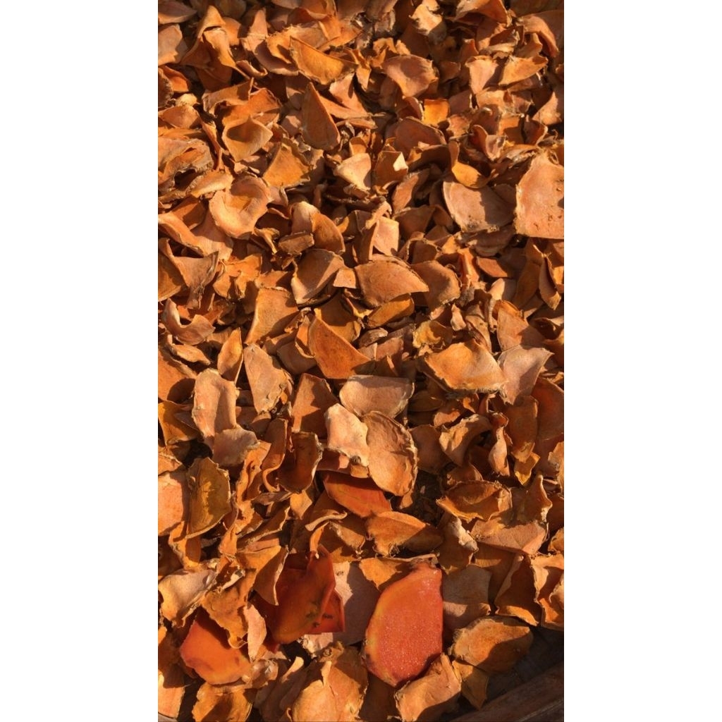 

Temulawak kering super bersih grade A kemasan 1kg