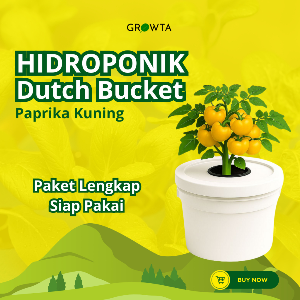 Paket Lengkap Hidroponik Pemula Dutch Bucket Paprika Kuning Wick System