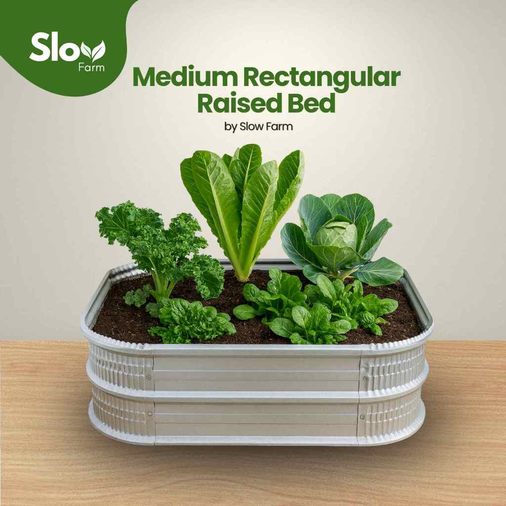 Raised Bed Bedengan Tanaman Ukuran Sedang Bahan Galvanis Dilapisi Anti Karat
