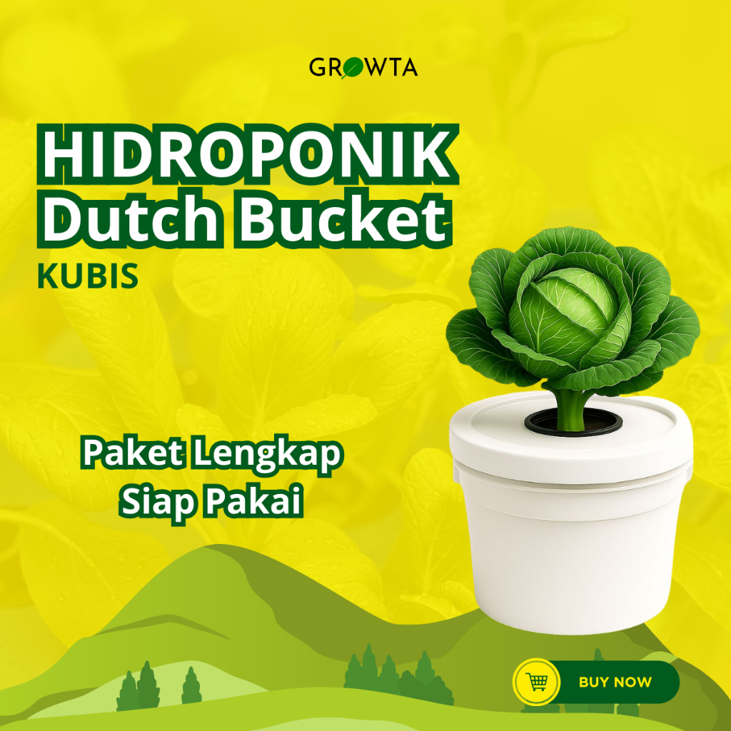 Paket Lengkap Hidroponik Pemula Dutch Bucket Kubsi Wick System