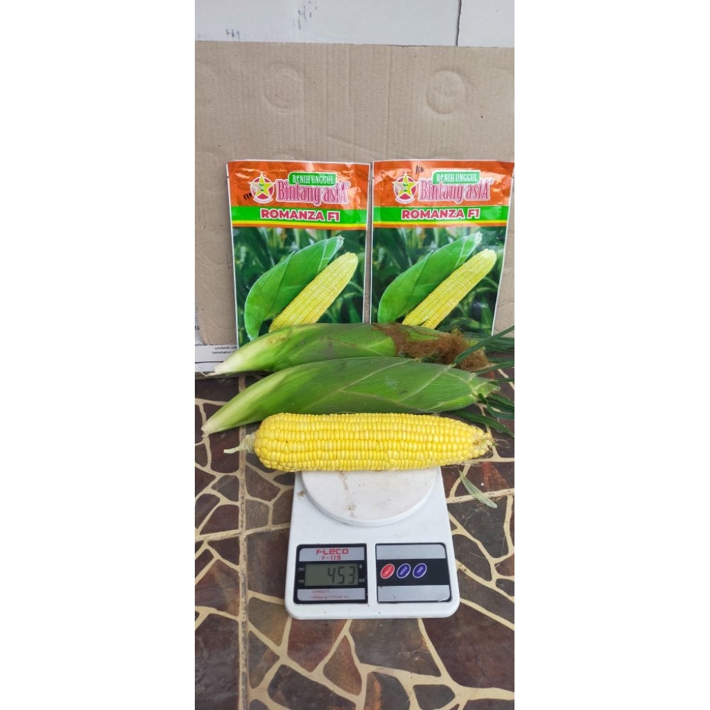 

Jagung Manis Romanza F1