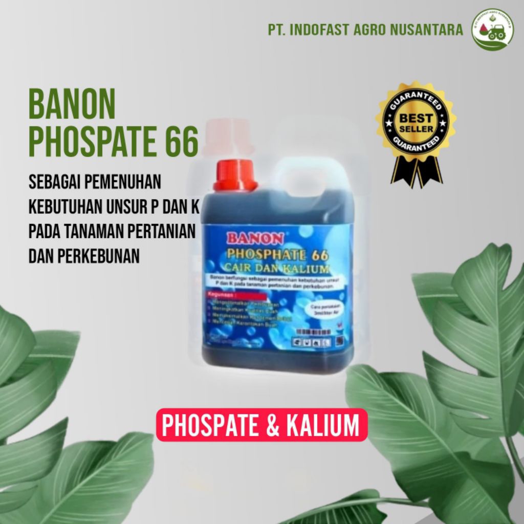 BANON PHOSPATE66 CAIR DAN KALIUM