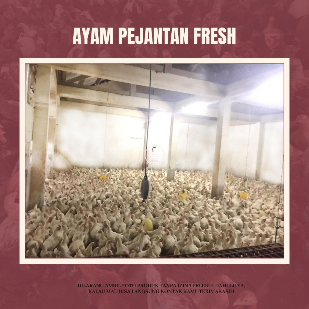 

Ayam Pejantan Fresh 0.75kg