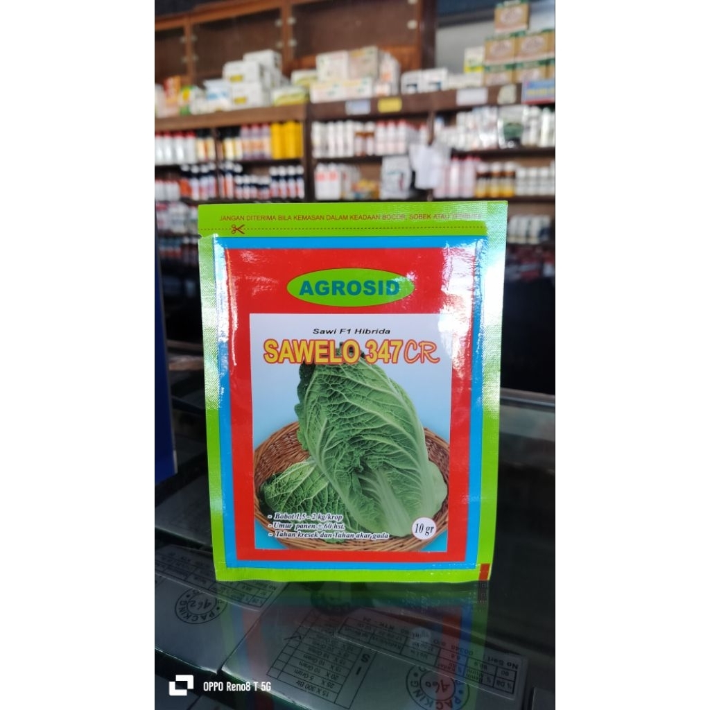 Benih sawi putih/pecay SAWELO BENIH SAWI UNGGUL