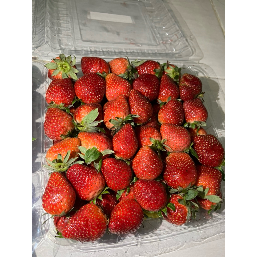

Stroberi Segar Buah Fresh Ukuran Jumbo