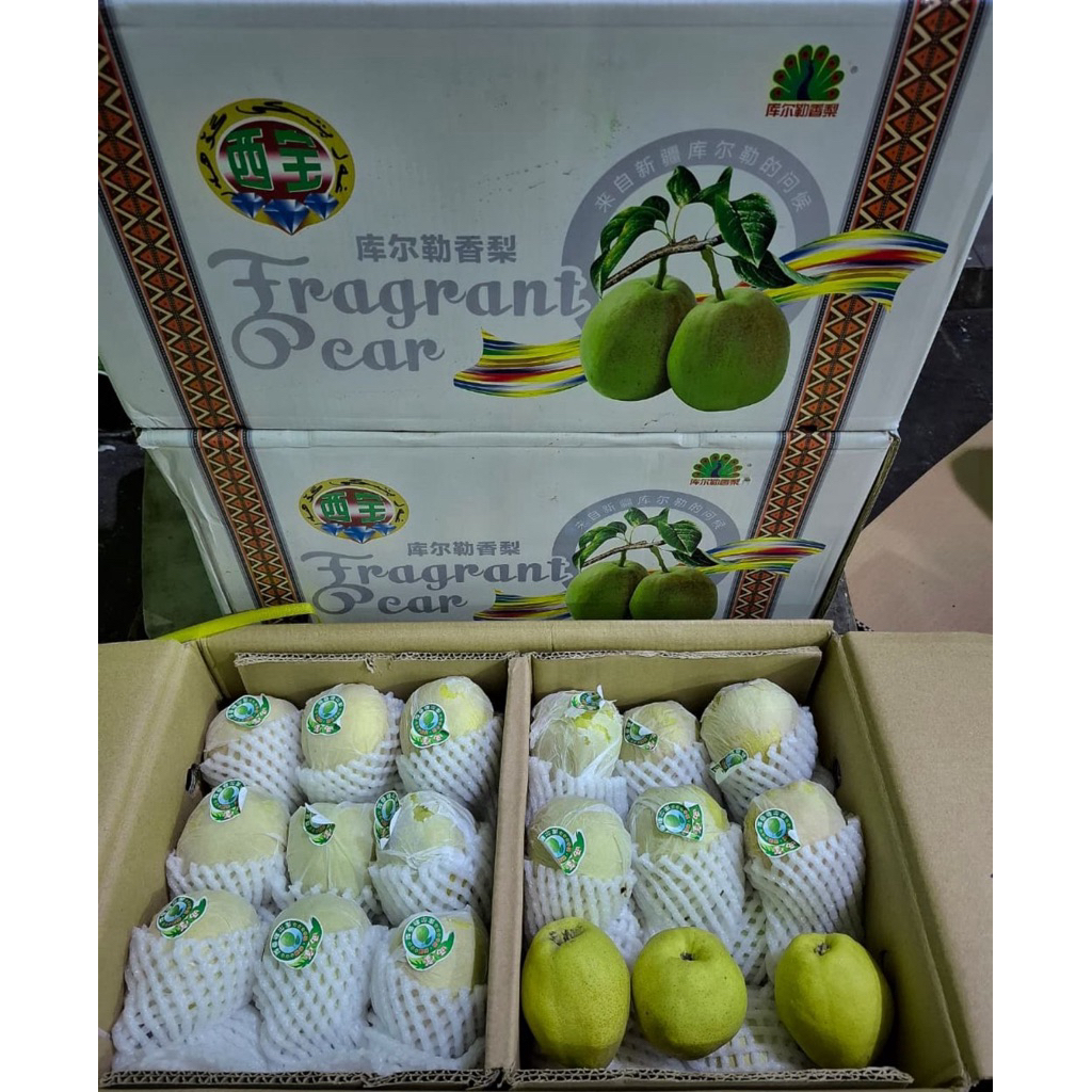 

PEAR XIANGLI IMPORT DUS PUTIH