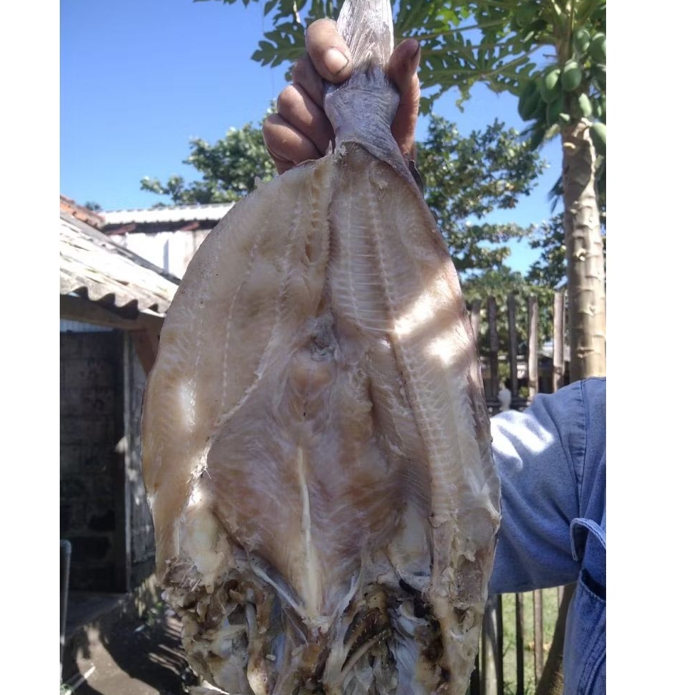 

Ikan Asin Jambal roti 1kg Premium super daging tebal