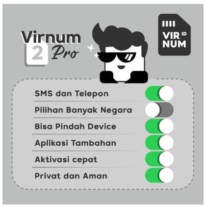 Ready Sim Card Virnum Id Nomor Handphone Luar Negeri / Internasional