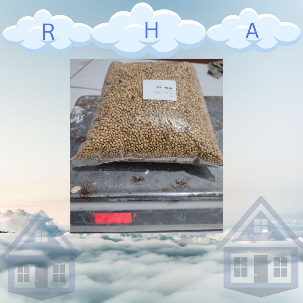 

Ketumbar Kuning kualitas terbaik