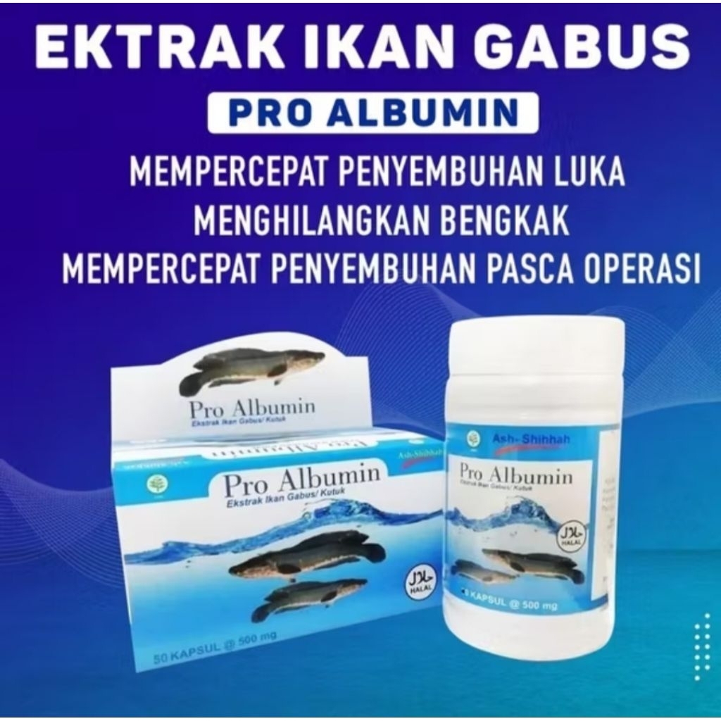 ORIGINAL.! Pro albumin - Ekstrak Albumin - lkan Gabus Pro Albumin Ash Shihhah Isi 50 Kapsul