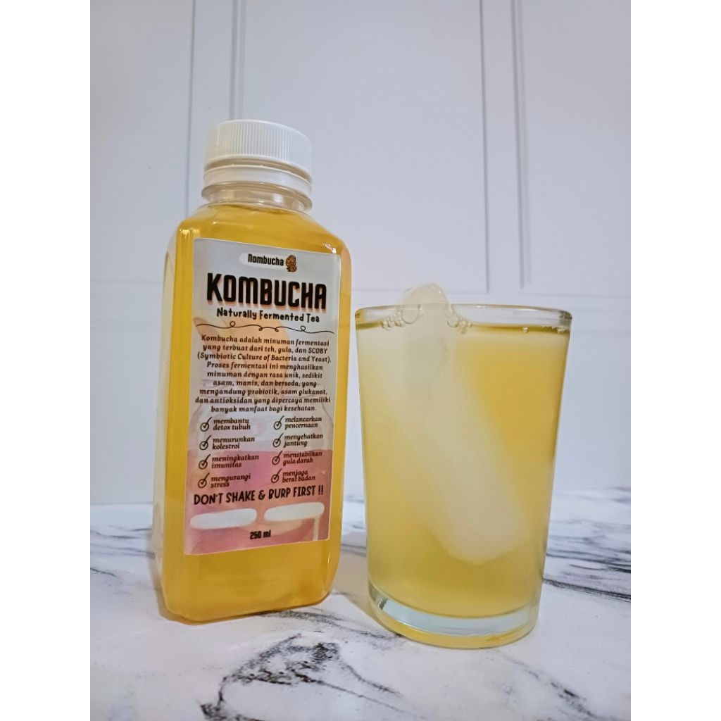 

Kombucha 250ml [BACA DESKRIPSI! KHUSUS AREA SEMARANG]