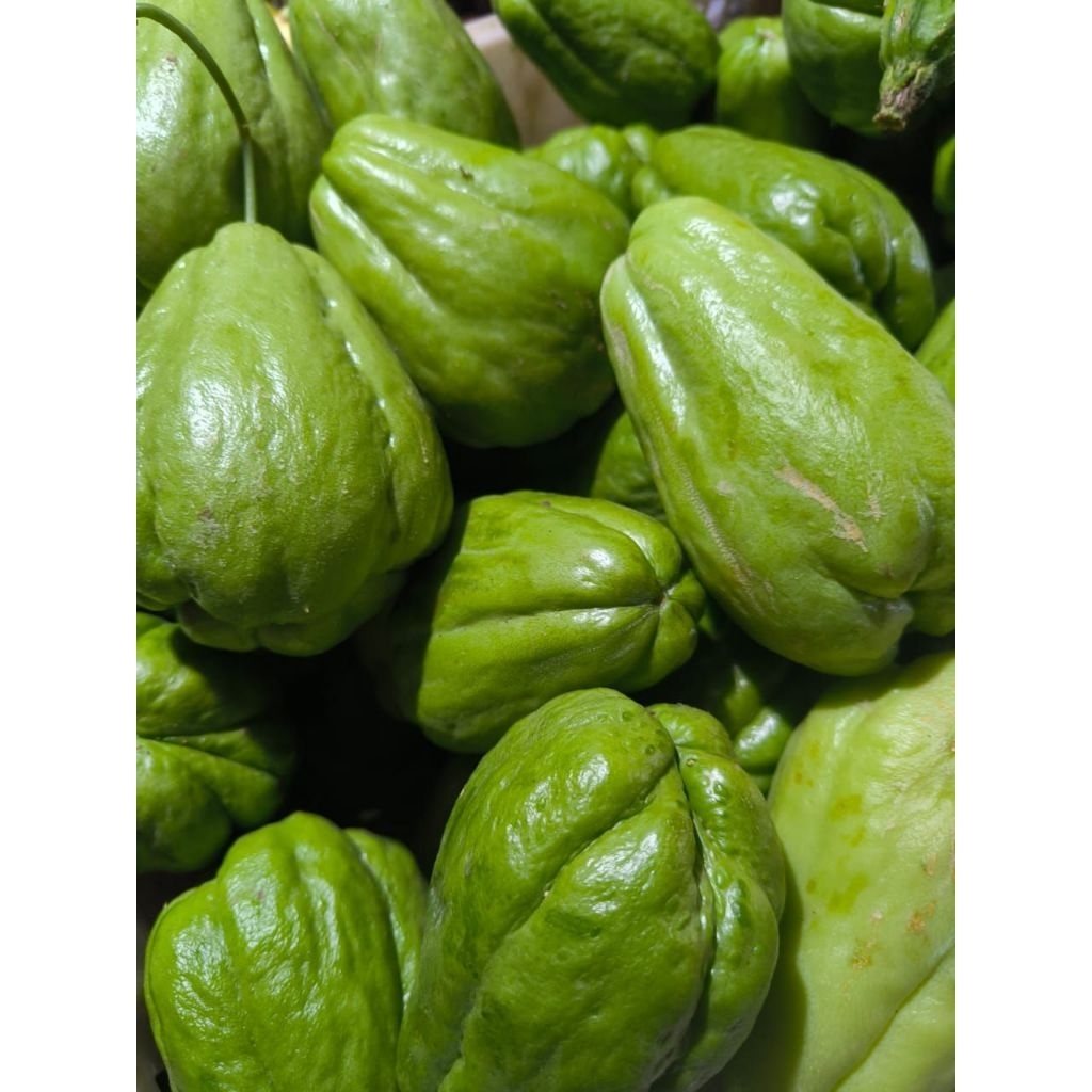 

labu siam fresh besar 1 kg