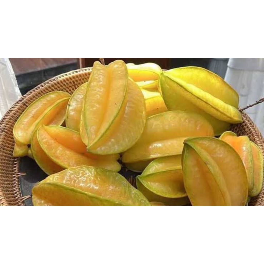 

Buah Belimbing Segar / Fruit Star Fresh 500gr (Buah Segar)