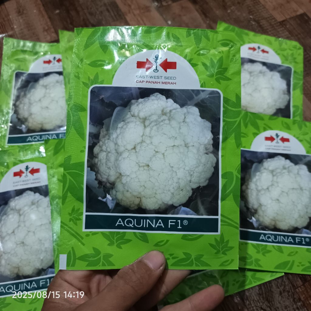 Benih Brokoli/Kol AQUINA F1 – Panah Merah original pabrik