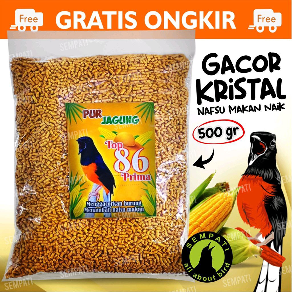 Pur Jagung Top 86 Prima Voer Pur Kuning Pakan Makanan Penggacor Burung Murai satu PERSACET