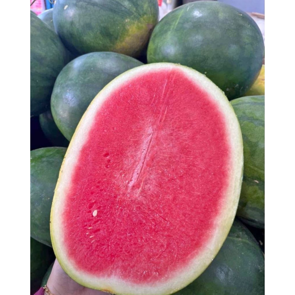 

BUAH SEMANGKA MERAH SEGAR TANPA BIJI PER BUAH 2KG - 3KG