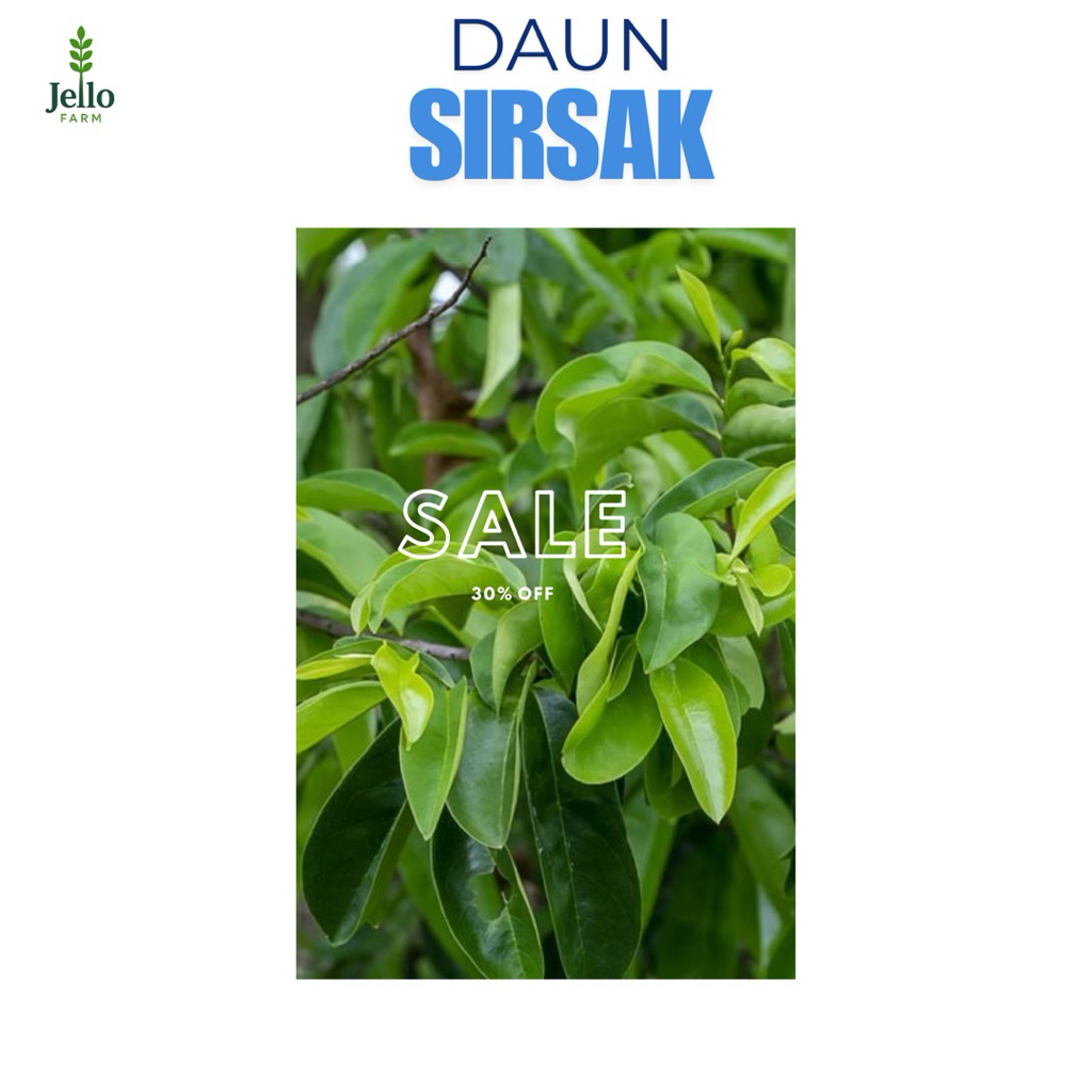 

daun sirsak segar