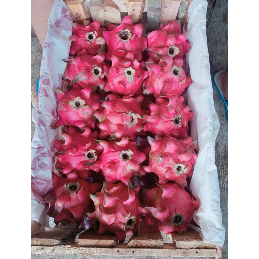 

BUAH NAGA 1 KG GRADE AA SUPER