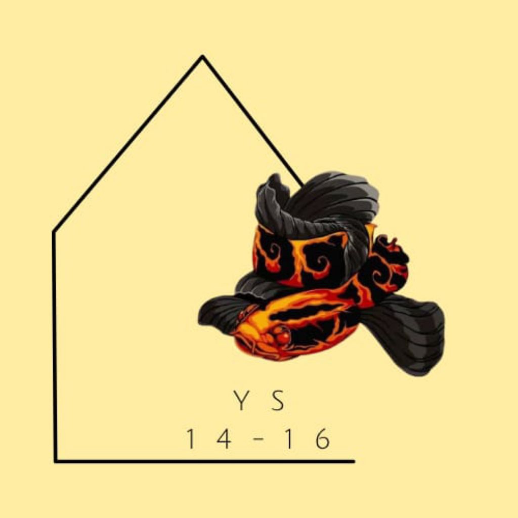 

stiker chana ya 14-16cm