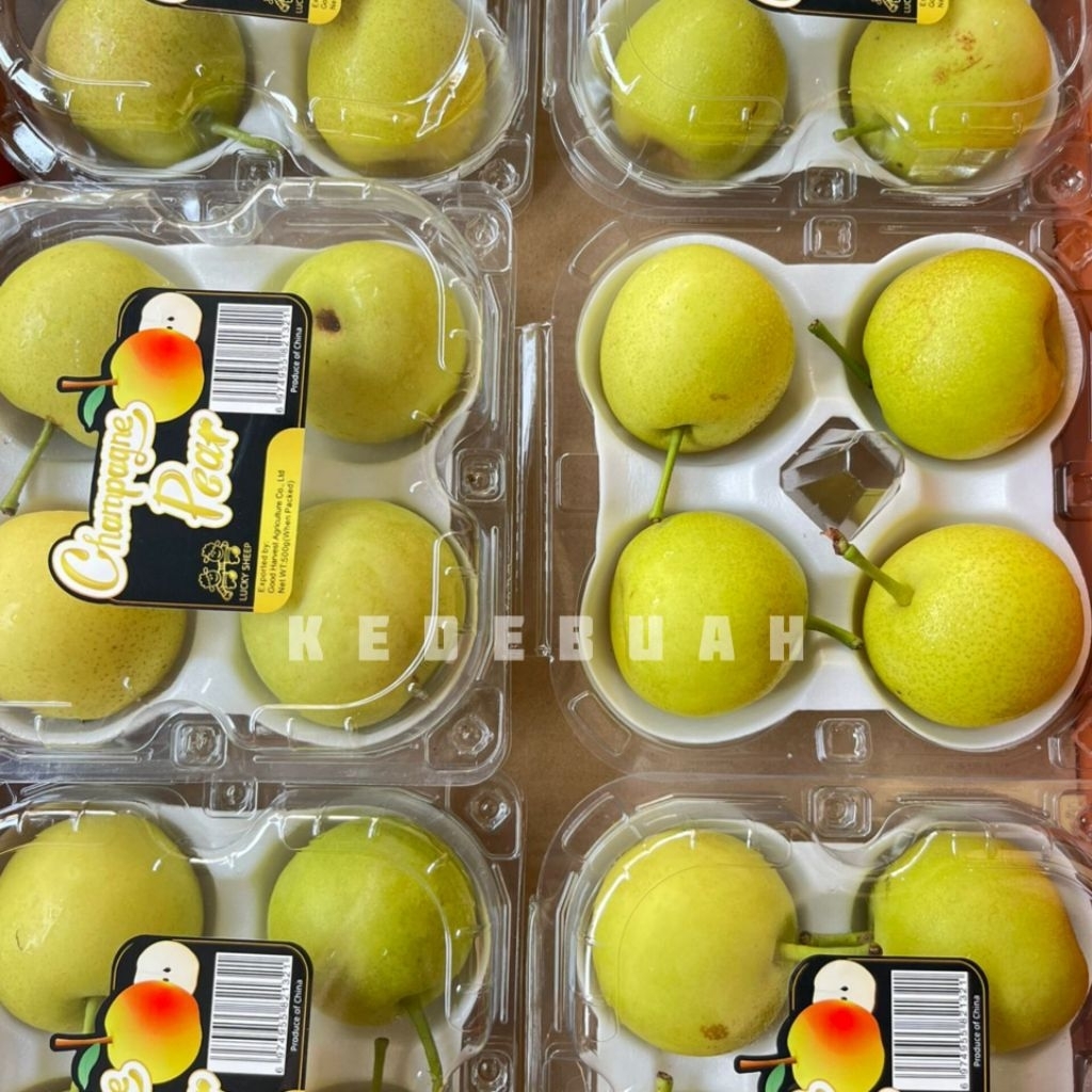 

Champagne Pear 500 gr | Buah Pir Import