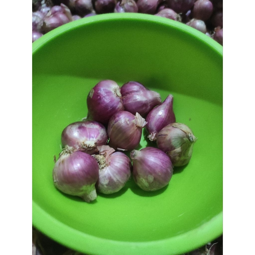 

Bawang Merah Lokal Berkualitas size Besar kemasan 500gr