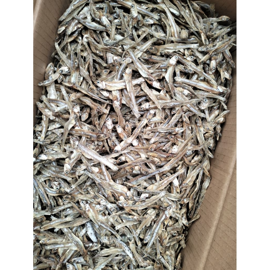 

Teri tawar ikan asin termurah.