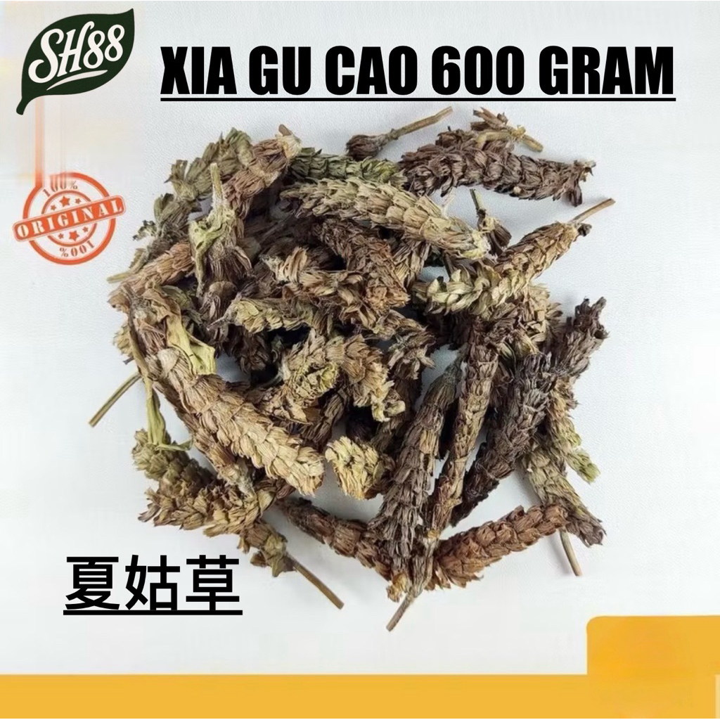 

600GRAM XIA GU CAO XIAGUCAO / Prunella vulgaris / self-heal spike / bunga prunella / rumput self-heal
