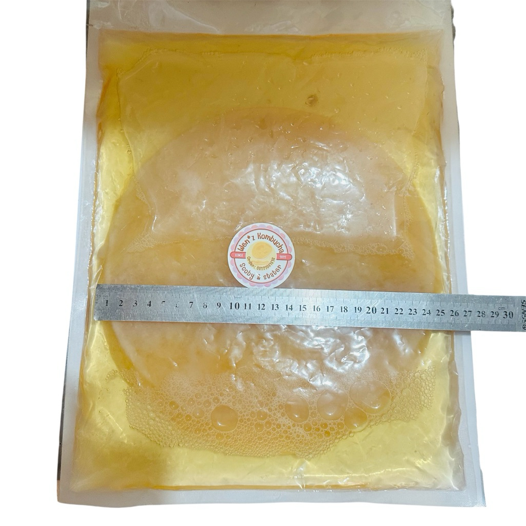 

Scoby Plus stater 1500ml scoby besar
