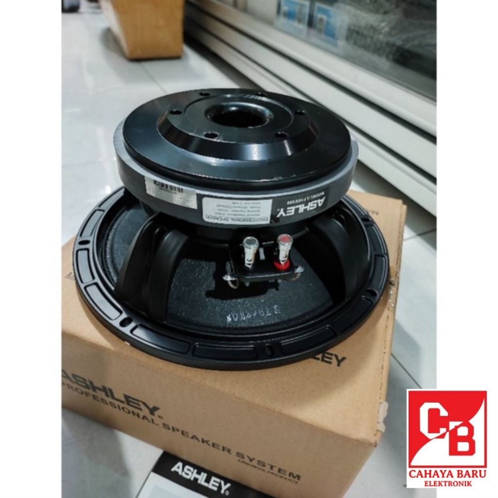 Speaker ASHLEY 10 inch V300 Coil Spul 3"
