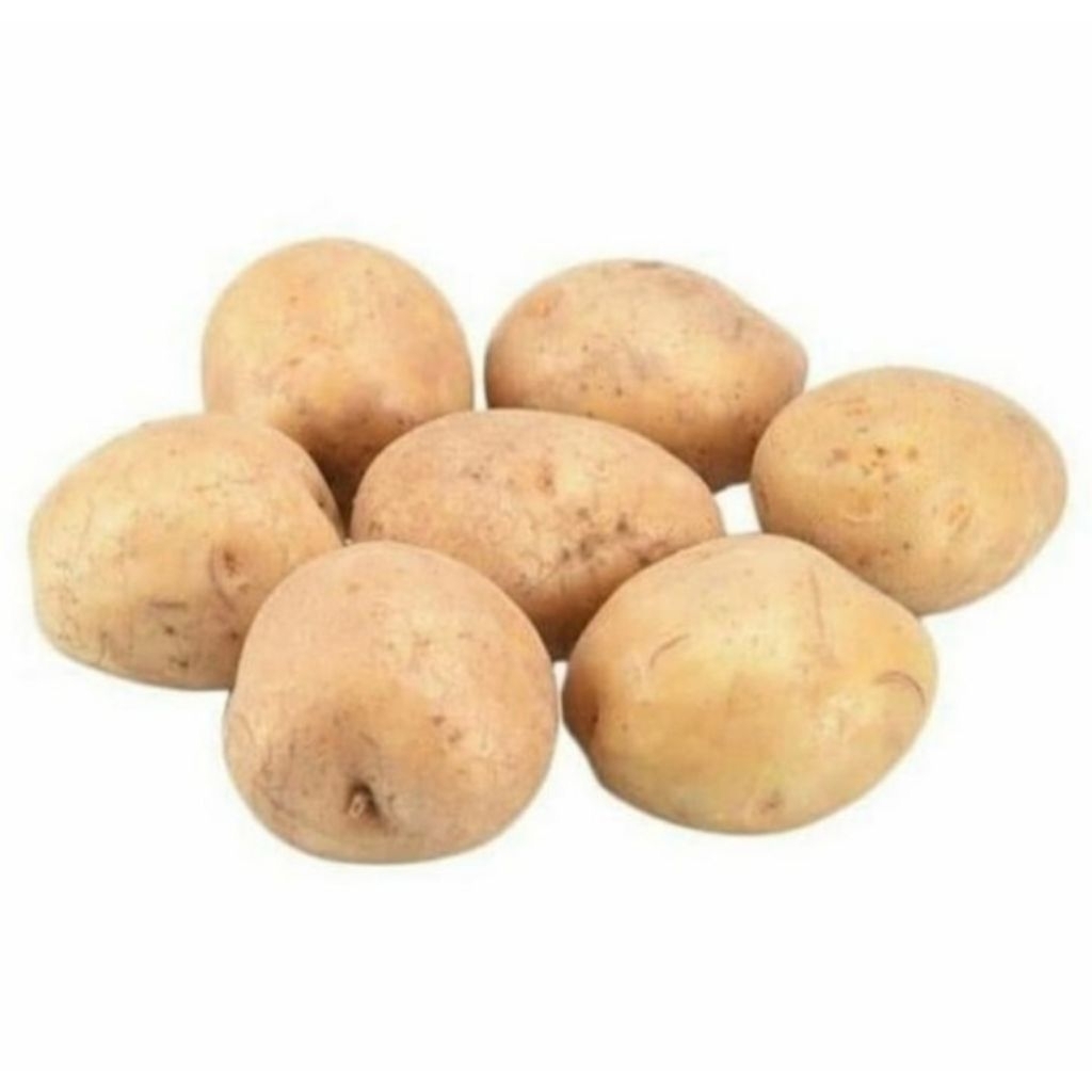 

kentang 500 gram berkualitas