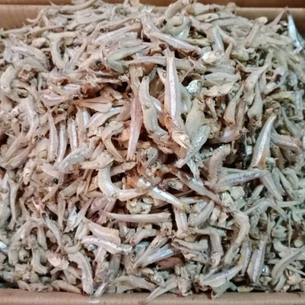 

ikan asin teri jengki ikan teri jengki ikan teri