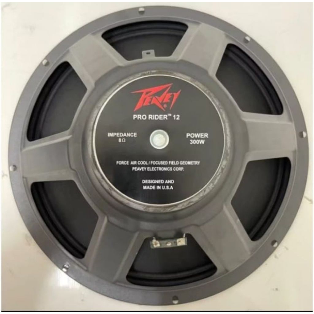 Speaker Peavey Pro Rider 12 Inch 300 Watt USA