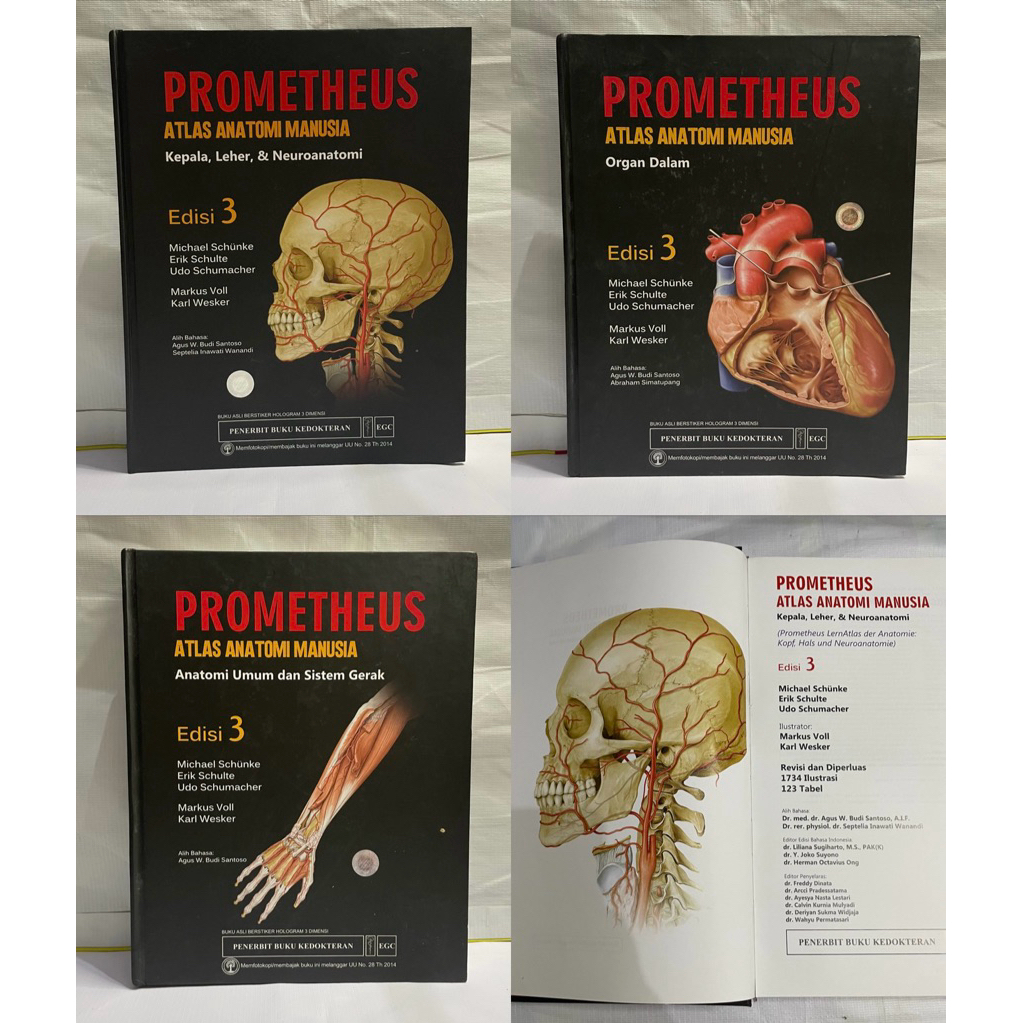 PROMETHEUS BUNDLE