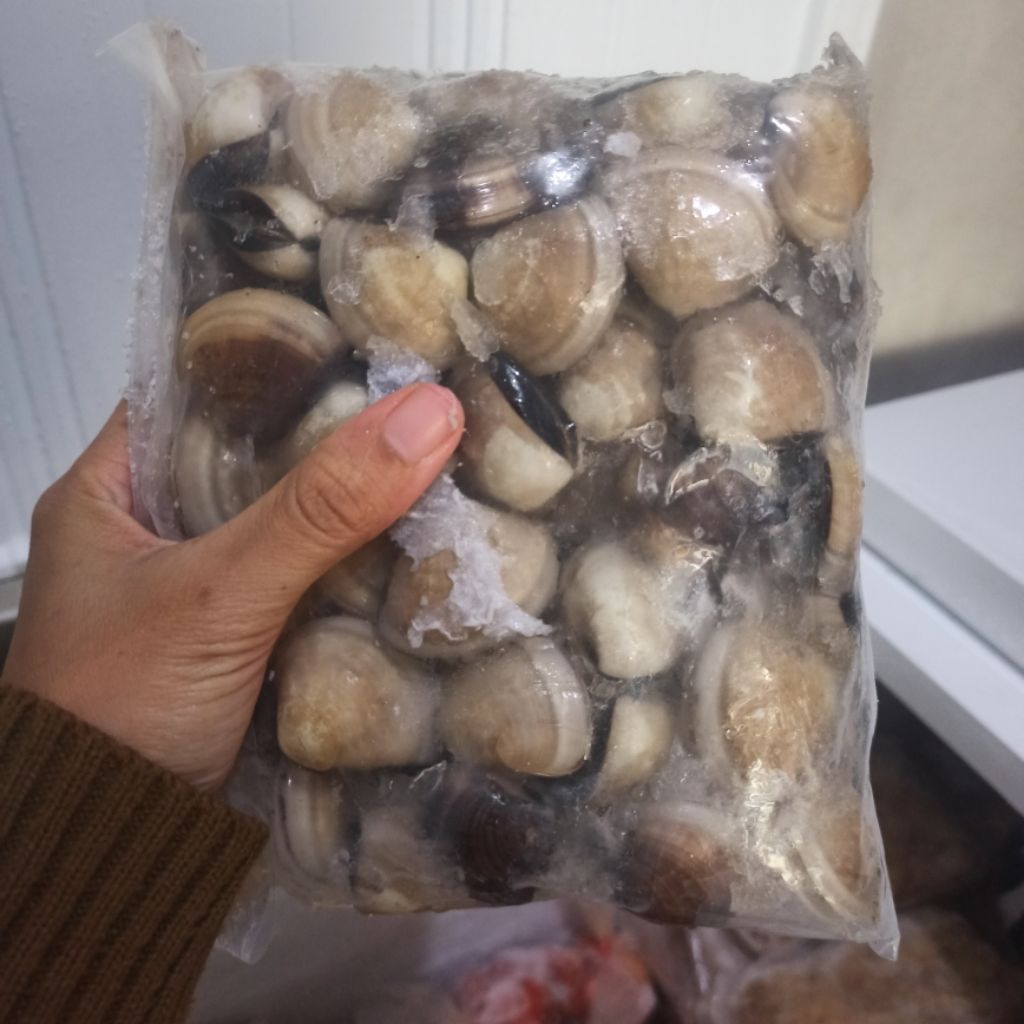 

Titik Frozen | Kerang tahu 1kg