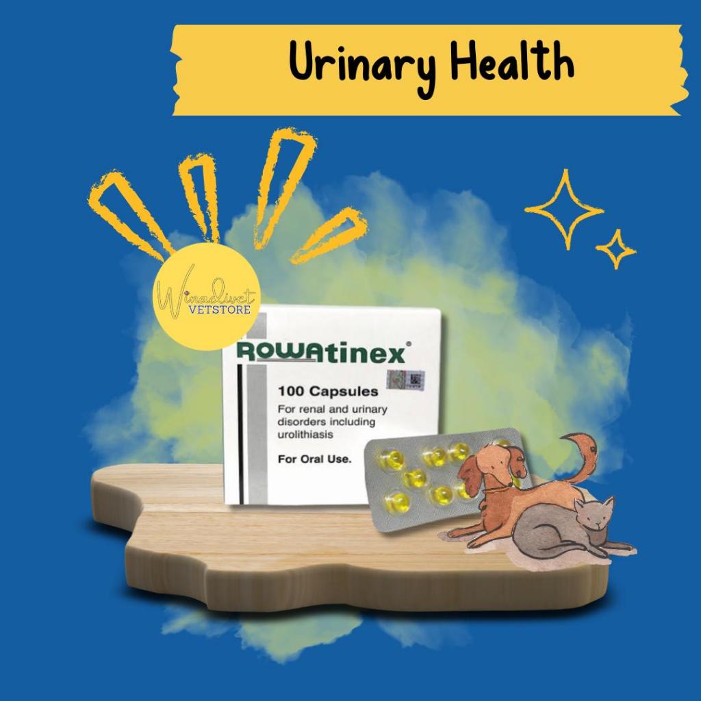 ROWATINEX ISI 10 KAPSUL - Obat Batu Ginjal Untuk Hewan Peliharaan Aning Kucing