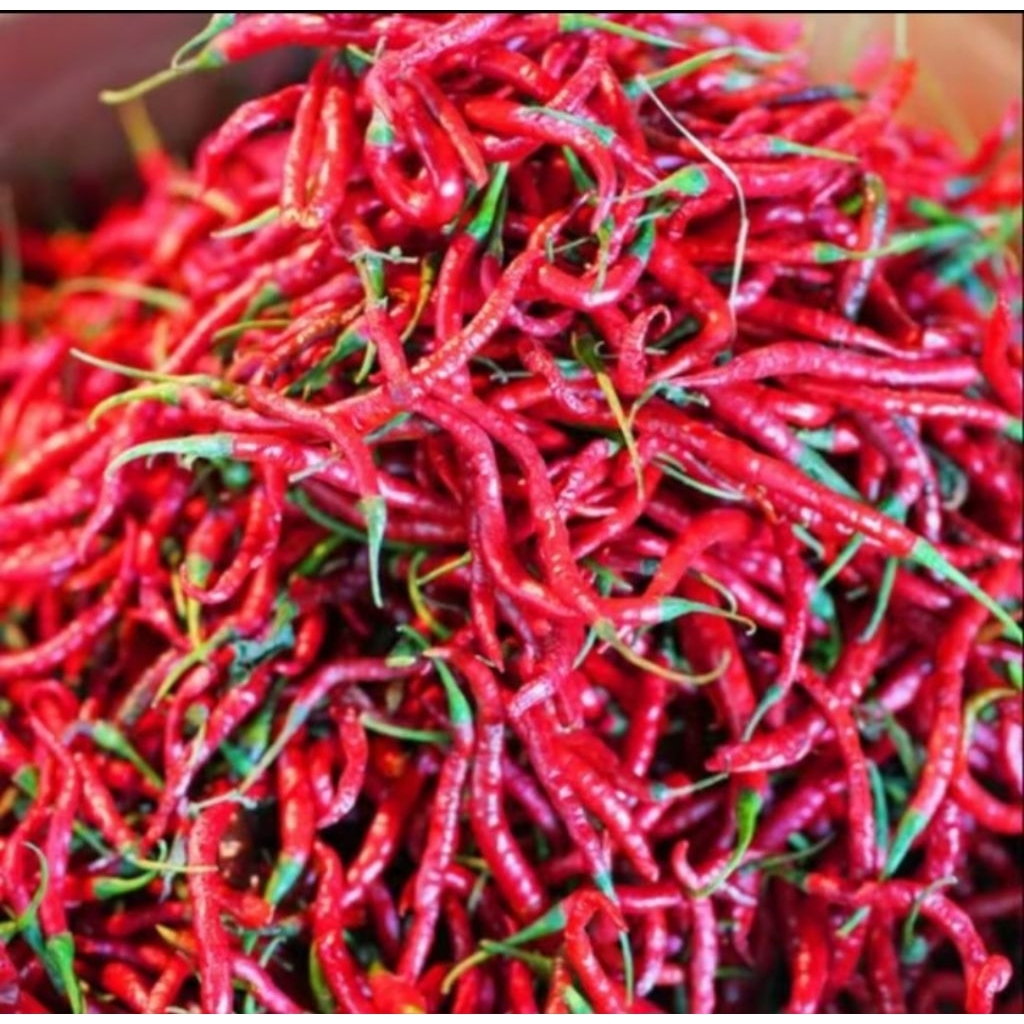 

CABE MERAH/CABE KERITING 100gram