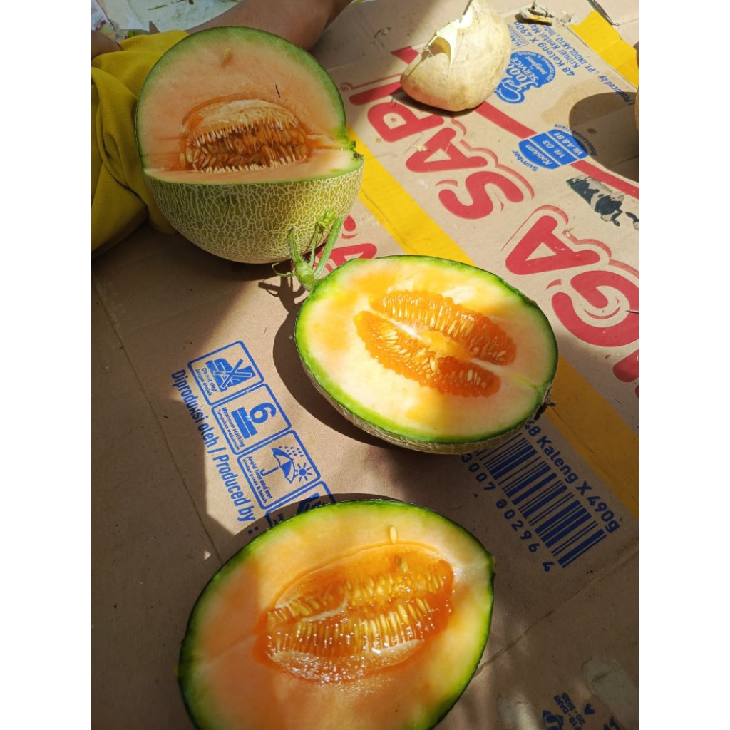 

melon 1 kg