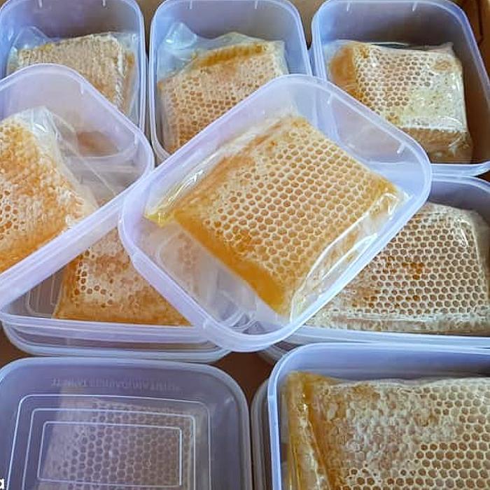 

GROSIR SARANG MADU UMUR 6 BULAN