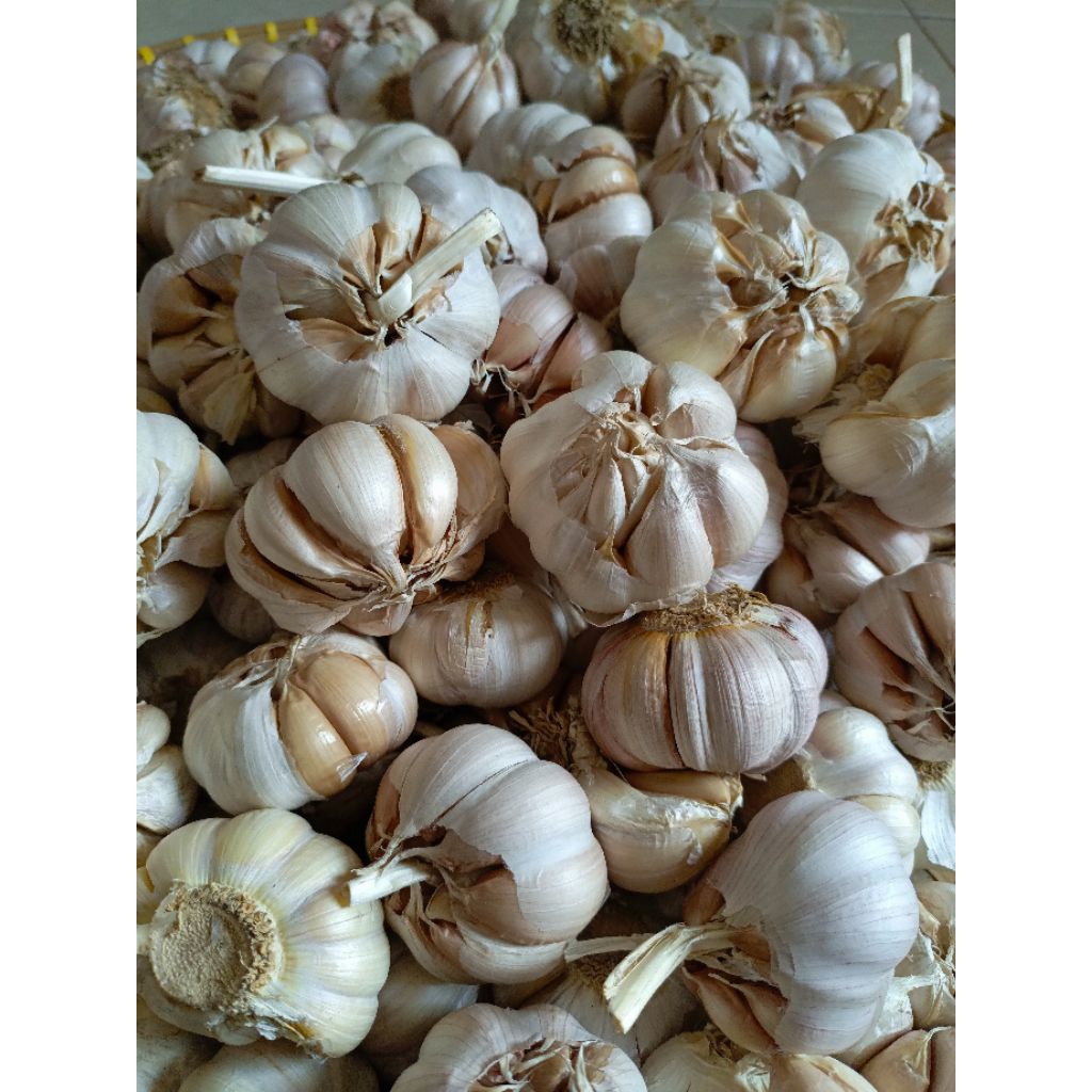 

bawang putih bersih kering, sinco Termurah 1kg